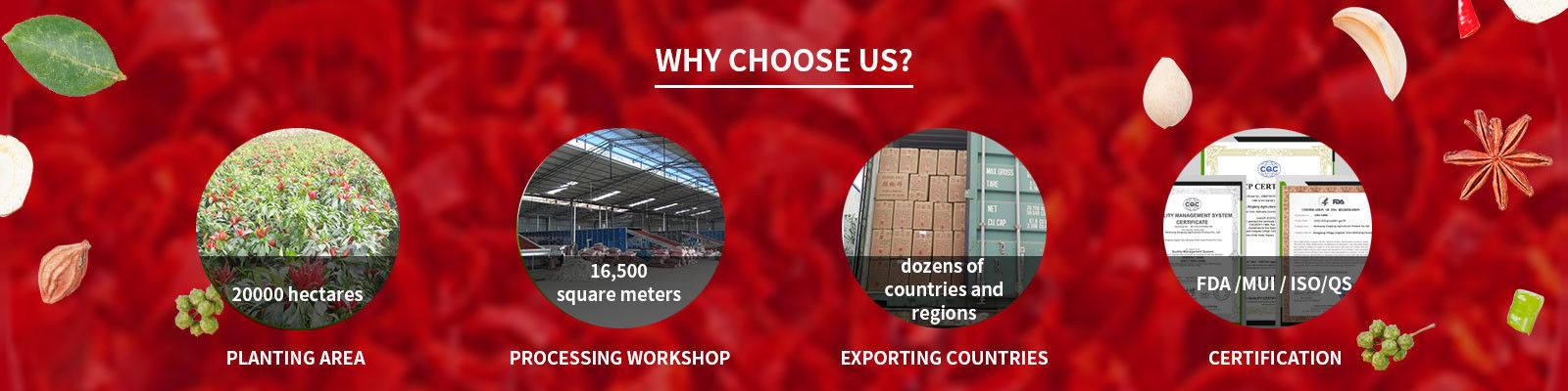 Het Poeder van de Spaanse peperspeper