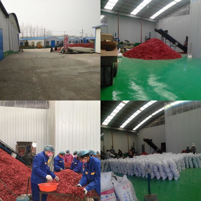 China Neihuang Xinglong Agricultural Products Co. Ltd Bedrijfsprofiel