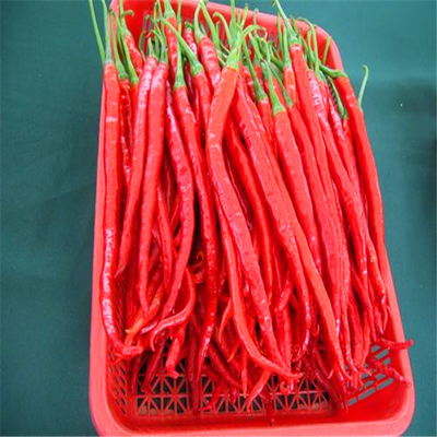 Erjingtiao Pepper Ingrediënten Chili Peppers Warm 8000-12000shu voor klantvereisten