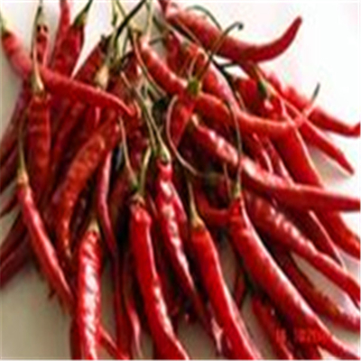 Luchtgedroogde Erjingtiao gedroogde chili zonder stam en gevuld met chilipepers