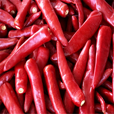 Chilli ingrediënten op een koele en droge plaats bewaren