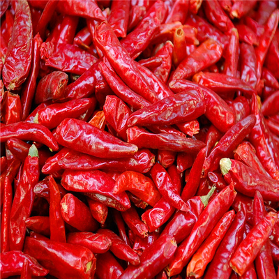 Erjingtiao Pepper Ingrediënten Chili Peppers Warm 8000-12000shu voor klantvereisten