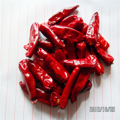 Alleenstaande kruiden donkere rode kogel chili perfect fit uitziende efficiëntie