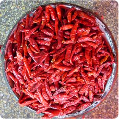 Alleenstaande kruiden donkere rode kogel chili perfect fit uitziende efficiëntie