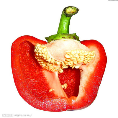 Zaden Zoete Paprika Pepper 15000SHU van een Rangf1 de Hybride Spaanse peper