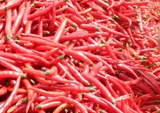 Kruidige gedroogde 1kg Birds Eye Chili Ingrediënten die een ongeëvenaarde smaak leveren
