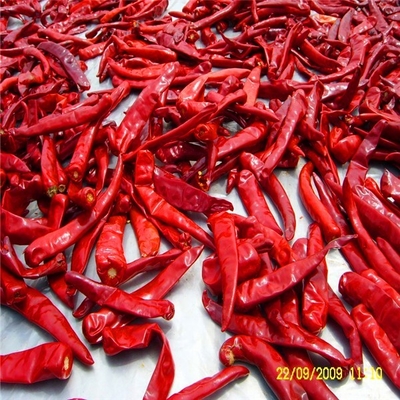 Milde Hitte Zoete Droge Paprika Pepper 1% Max Impurity 15Cm