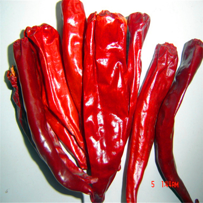 99% Gewicht van de de Peper Stemless 10kg/25kg Zak van zuiverheids het Droge Rode Spaanse pepers