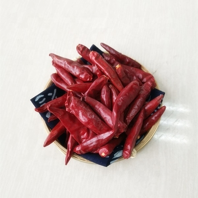 Cayenne gedroogde rode chilipepers 4 - 7 cm sterke scherpe smaak