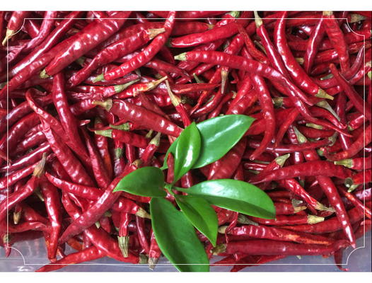 Calciumrijke gedroogde vogel oog chili voor gedurfde en pittige culinaire creaties