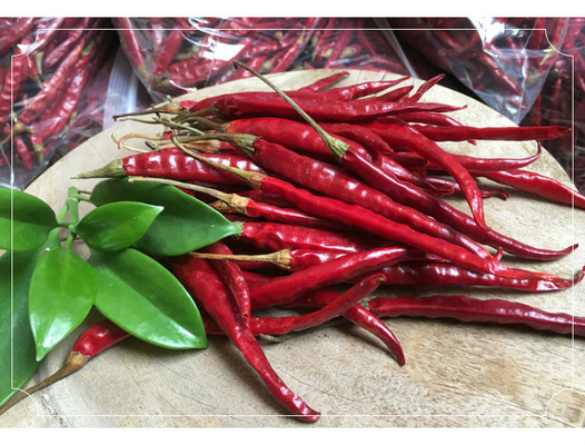 Calciumrijke gedroogde vogel oog chili voor gedurfde en pittige culinaire creaties