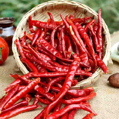 7-19 cm lengte Dehydraterende chili's met vacuümverpakking