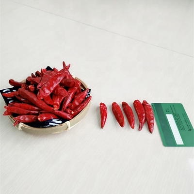 100 g gedroogde Aziatische rode Tianjin Chili Peppers Smaak Authentieke smaken