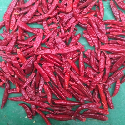 1.5cm Premium Red Chilli Ring Package 1-20KG/CTN Zaden 0-35%