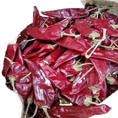 10 - 15 cm gedroogde Guajillo Chili 50 BLS voor mondverwekkende stoofpotten