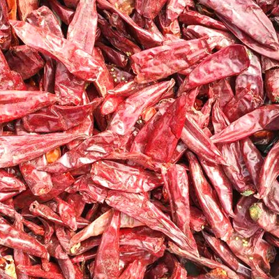 Natuurlijke rode chili Zoete paprika Peper Enkele kruiden Kruiden voor culinaire lekkernijen
