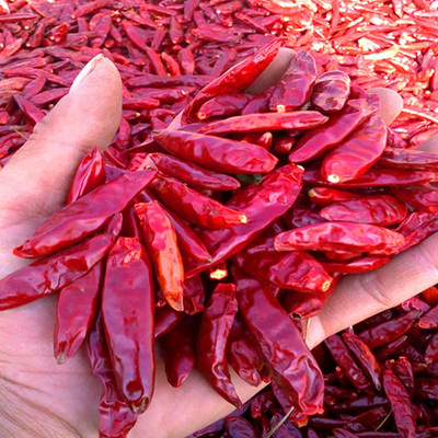 Pepers Chili Vochtigheid 12% max Vochtigheid gecontroleerde pepers