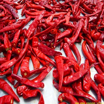10 kg gewicht per eenheid Chili met een vochtgehalte van maximaal 12%