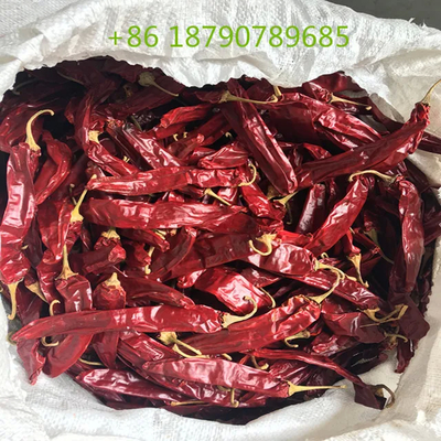 7-19 cm gedroogde zoete chili in natuurlijke rode kleur