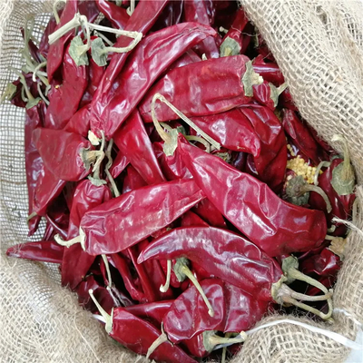 Vocht 8%-12% Gedroogde Guajillo Chili A-kwaliteit Met onzuiverheid 0,1% Max