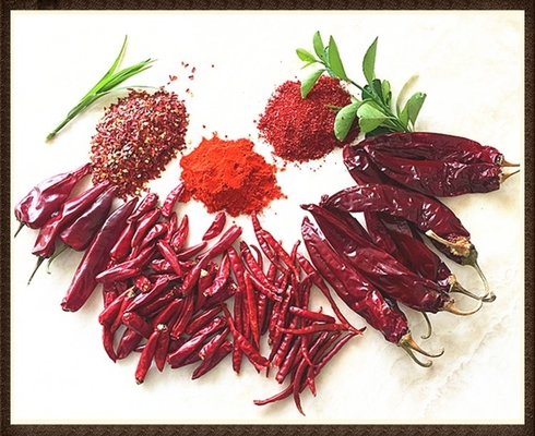 Vocht 8%-12% Gedroogde Guajillo Chili Rood Hele / Stick