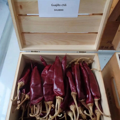 Intens geperfumeerde hele Guajillo Chili Pods met scherpe geur