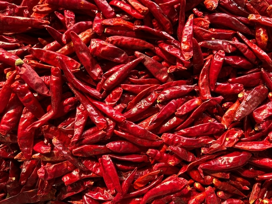 Chef-koks genieten van pittige gedroogde vogel-oog chili