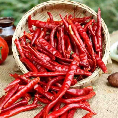 Rode paprika chili kruiden en kruidenpoeder voor uw heerlijke diner ervaring