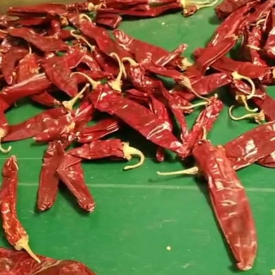 Eén kruid en kruid op gedroogde paprikapepers voor uw zakelijke behoeften