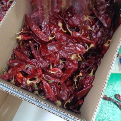 Ingrediënten Paprika Peper Chili Capsicum Xinjiang Chili Piktheid 500SHU