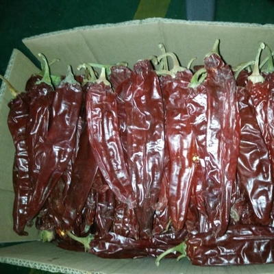 Gedroogde rode paprika's voor uw voedselbedrijf
