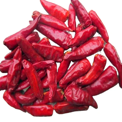 2% maximaal gebroken percentage luchtgedroogde rode bullet chili met monster en vracht verzameld