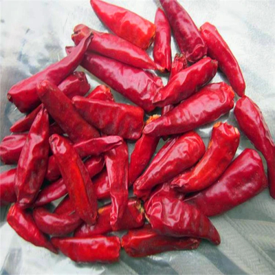 Single Herb Bullet Red Chili met 2% gebroken percentage