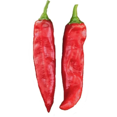 Paprika poeder met zoete peper smaak en 12-16% vocht