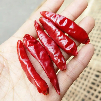 Niet-additieven Red Bullet Chili met hoed voor uw zakelijke standaard