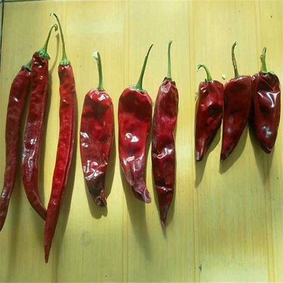 Voeg een kick toe aan uw gerechten met gedroogde pittige pepers Essentiële chili ingrediënten