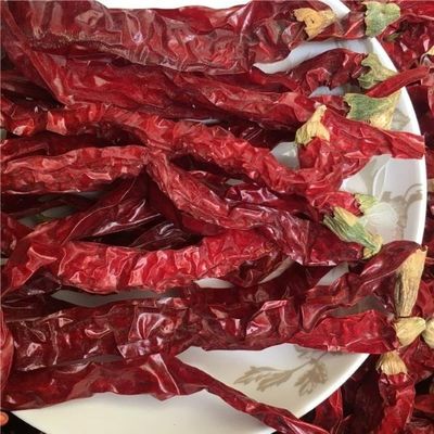 Ervaar de Hitte van Gedroogde Chilipepers Sterke Scherpe Chilismmaak voor Koel en Droog Bewaren