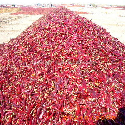 SHU50000-90000 Pungency Dried Red Chilli Peppers Unit Weight 10kg/bag Impurity 1