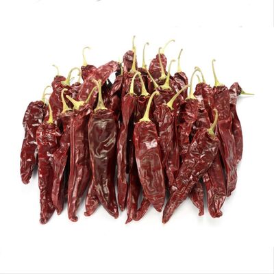 Natural Red Dried Guajillo Chili with No Additive and ≤ 11-14.0% Moisture for Cooking