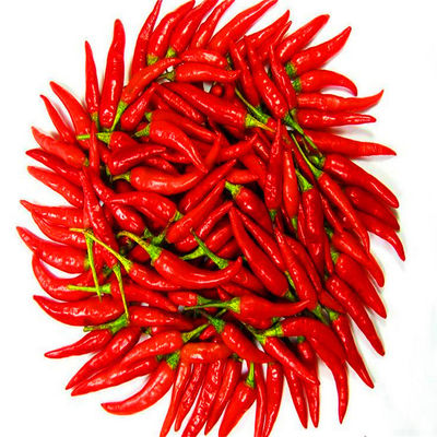 20000 SHU Sanying Tianjin Red Chilies HACCP KOSJER Certificaat