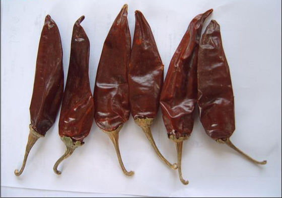 10-15cm Grade A Rode Jinta Chili Pepper 50BLS zakjes verpakt