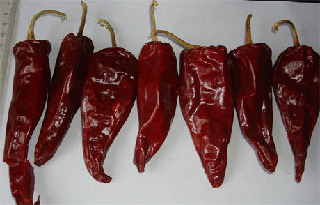 12CM Droge Rode Spaanse pepers Gehele Xinglong 10KG Droog Aziatisch Chili Peppers