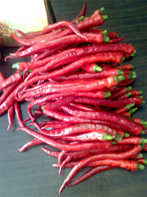 de Droge Chilis Gematigde Hitte Chili Bean Paste Use van 8000-12000shu Erjingtiao