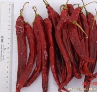 Spaanse pepers van Xian Chilli Seasoning van de blokvorm Stemless Lange Droge Rode
