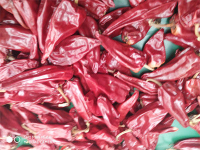 12CM Droge Rode Spaanse pepers Gehele Xinglong 10KG Droog Aziatisch Chili Peppers