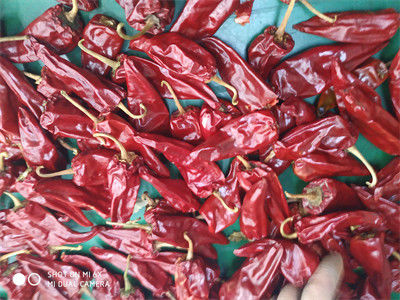 5000 SHU Mild Dried Chilies Stemmed sorteren Peulen van de Droge Rode Chili