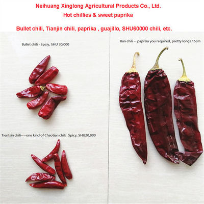 Warm pittige gedroogde rode chili 10-25 kg/zak 000-20 Scoville