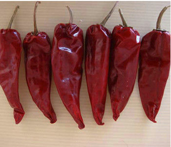 100 g natuurlijke ronde Tianjin rode chili