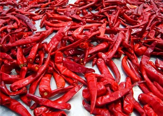 Sanying die Hete Peper KOSJER Mala Dried Whole Chillies ontwateren