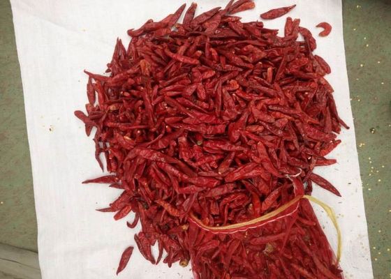De middelgrote Kruidige Rode Spaanse pepers van Tianjin een Niveau 8000 Scoville die Peper uitdrogen